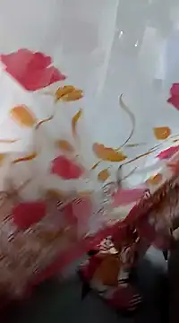 laxmitelugu78 online show from February 4, 2025, 1:59 pm