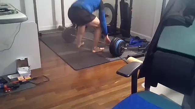 pandaexplorador online show from November 20, 2025, 4:29 pm