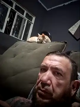 ruivotop online show from November 23, 2025, 7:29 am