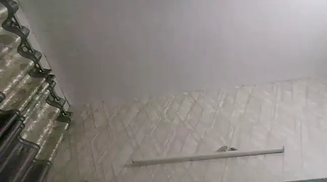 SeductiveStar online show from February 23, 2025, 8:28 am