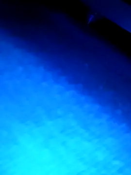 Snapshot of wadmma chatting on March 13, 2026, 3:22 am wadmma online show from March 13, 2026, 3:22 am