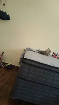 JapeDoBryan online show from May 16, 2026, 6:29 pm