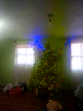 KellyPerlaxxx online show from December 19, 2025, 2:30 pm