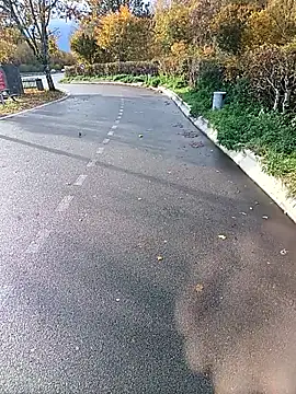 Dam70 online show from October 22, 2025, 2:16 pm