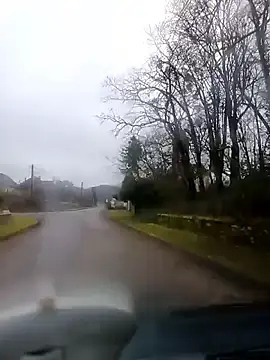 Dam70 online show from January 11, 2026, 8:54 am