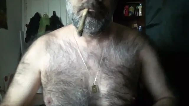 arka6 online show from April 13, 2026, 2:43 pm