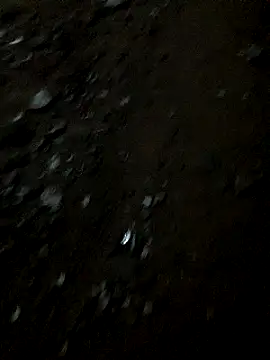 BigD634 online show from February 3, 2025, 12:47 am