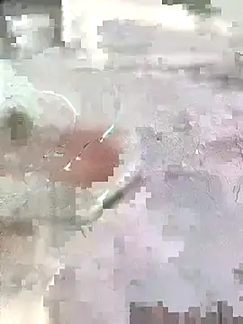 Arabian online show from November 7, 2025, 3:05 pm