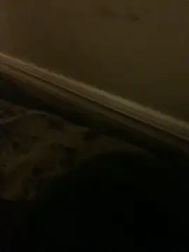 Snapshot of Tonez86 chatting on February 15, 2026, 7:51 am Tonez86 online show from February 15, 2026, 7:51 am