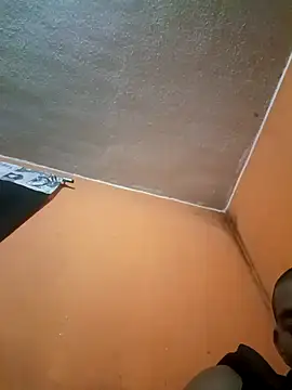 juqnjopach online show from April 13, 2026, 10:08 am