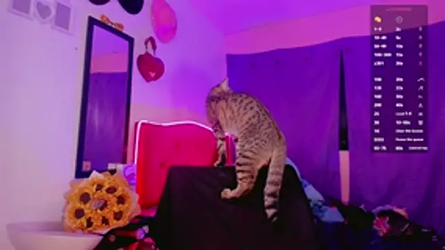 val princes online show from December 5, 2025, 11:42 am