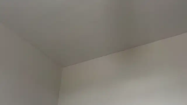 skyejde online show from February 12, 2026, 2:17 pm