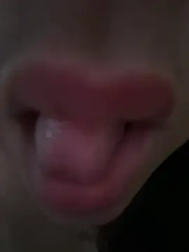 Snapshot of daianaspencer chatting on April 13, 2026, 6:06 am daianaspencer online show from April 13, 2026, 6:06 am