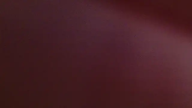 Snapshot of lissa_palmer chatting on November 12, 2025, 3:10 am lissa palmer online show from November 12, 2025, 3:10 am