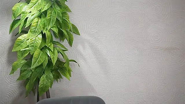 GwenBottrellv online show from February 7, 2025, 9:48 pm