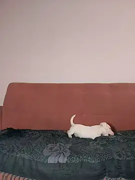 Snapshot of Jehan_Soto chatting on September 9, 2025, 5:11 pm Jehan Soto online show from September 9, 2025, 5:11 pm