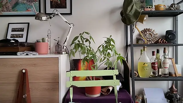 Snapshot of MikymikeBBWD chatting on November 12, 2025, 11:47 am MikymikeBBWD online show from November 12, 2025, 11:47 am