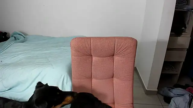 Snapshot of Greciaruiz_ chatting on February 11, 2026, 11:26 pm Greciaruiz online show from February 11, 2026, 11:26 pm