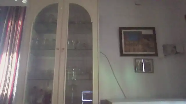 Snapshot of llopaco chatting on November 28, 2025, 2:17 pm llopaco online show from November 28, 2025, 2:17 pm