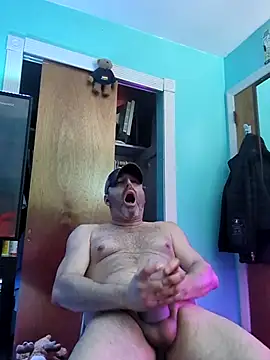 Snapshot of Novabear6996 chatting on February 19, 2026, 12:51 am Novabear6996 online show from February 19, 2026, 12:51 am