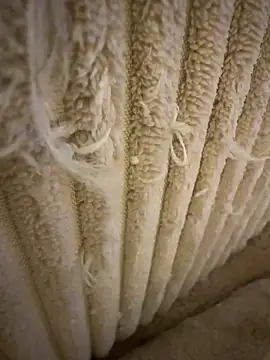 Snapshot of tiago499 chatting on February 7, 2026, 5:10 pm tiago499 online show from February 7, 2026, 5:10 pm