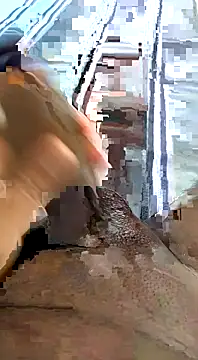 desi pb02 online show from November 11, 2025, 4:29 am