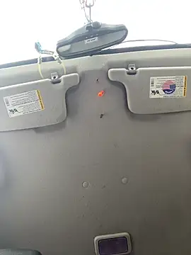 QueenM3 online show from November 15, 2025, 5:17 pm