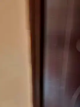 HorNy Bro Sis online show from February 21, 2025, 9:45 am