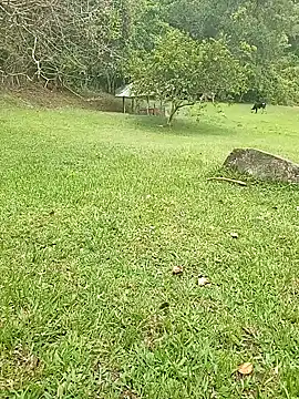 Snapshot of Mycansonhot chatting on October 23, 2025, 4:38 pm Mycansonhot online show from October 23, 2025, 4:38 pm