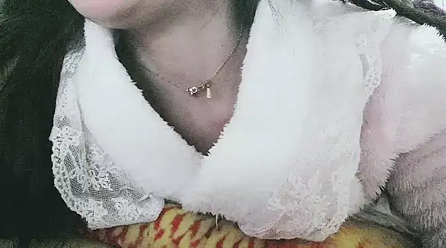 hebe-02 online show from March 12, 2025, 12:57 pm