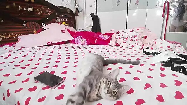 hebe-02 online show from October 9, 2025, 5:30 am