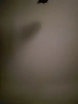 Snapshot of Mrnutella chatting on March 3, 2025, 2:22 am Mrnutella online show from March 3, 2025, 2:22 am