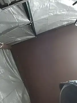 HTXBELLE online show from December 5, 2025, 2:43 am