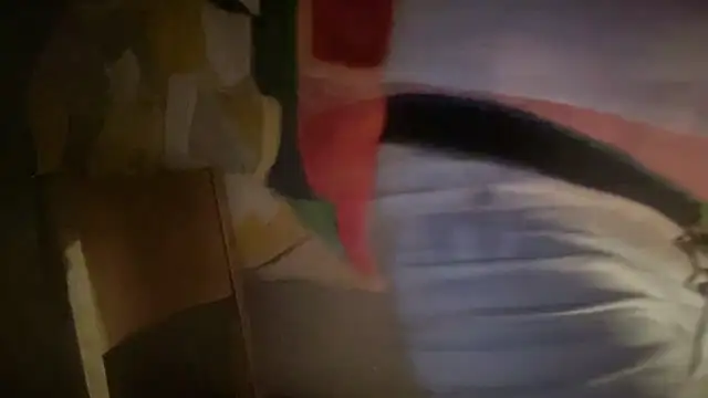 DominantDong online show from February 7, 2026, 8:11 am