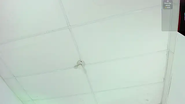 cutie sarax1 online show from November 10, 2025, 12:10 pm