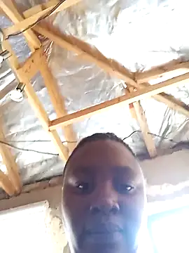 chubbie doll online show from March 13, 2026, 7:35 am