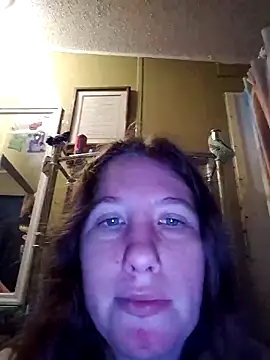 Seductivefoxyxh online show from November 25, 2025, 9:31 am