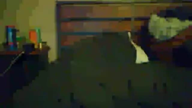 Snapshot of boarder3494 chatting on November 22, 2025, 5:39 am boarder3494 online show from November 22, 2025, 5:39 am