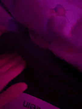 mario 6 9 9 0 online show from March 7, 2025, 8:55 pm