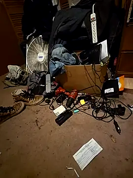 SillyRabbitz online show from November 26, 2025, 7:30 am