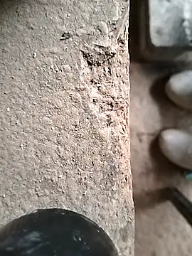 Snapshot of surfacespurt54 chatting on October 23, 2025, 9:41 am surfacespurt54 online show from October 23, 2025, 9:41 am