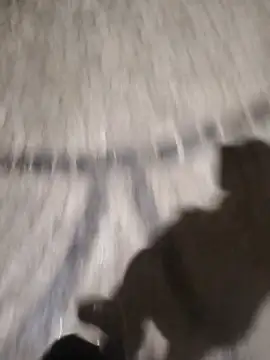 Snapshot of surfacespurt54 chatting on March 17, 2025, 11:35 pm surfacespurt54 online show from March 17, 2025, 11:35 pm