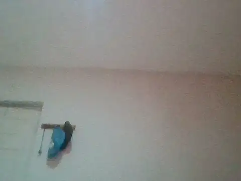 Snapshot of bafeng chatting on July 24, 2026, 9:38 am bafeng online show from July 24, 2026, 9:38 am