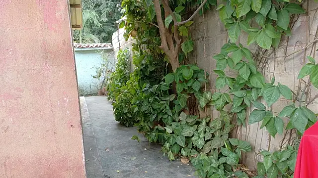 Snapshot of twinks_28 chatting on January 17, 2026, 8:45 pm twinks 28 online show from January 17, 2026, 8:45 pm