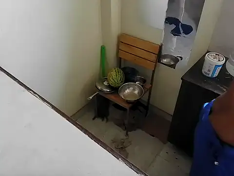 Snapshot of fitbuddy1 chatting on February 15, 2026, 6:25 am fitbuddy1 online show from February 15, 2026, 6:25 am