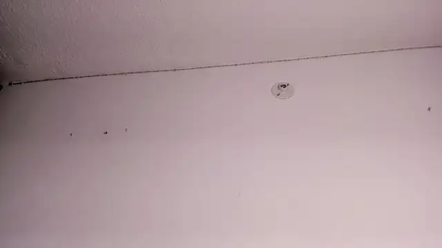 zephyra-angels online show from April 11, 2026, 3:14 am