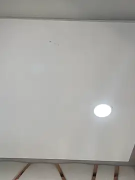 Snapshot of Madisson-Rivas chatting on February 24, 2026, 8:31 pm Madisson-Rivas online show from February 24, 2026, 8:31 pm