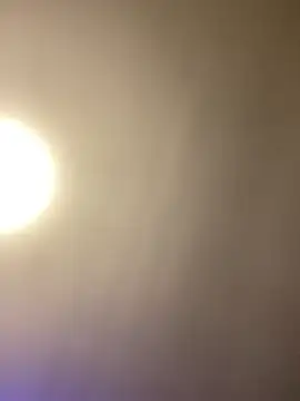 Snapshot of 1Zoey101 chatting on July 31, 2026, 2:37 pm 1Zoey101 online show from July 31, 2026, 2:37 pm