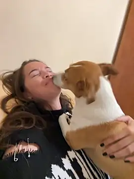 Beverly Hilll online show from October 2, 2025, 3:15 pm