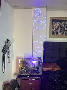 Snapshot of CRAZY-BOY99 chatting on December 14, 2025, 11:21 pm CRAZY-BOY99 online show from December 14, 2025, 11:21 pm